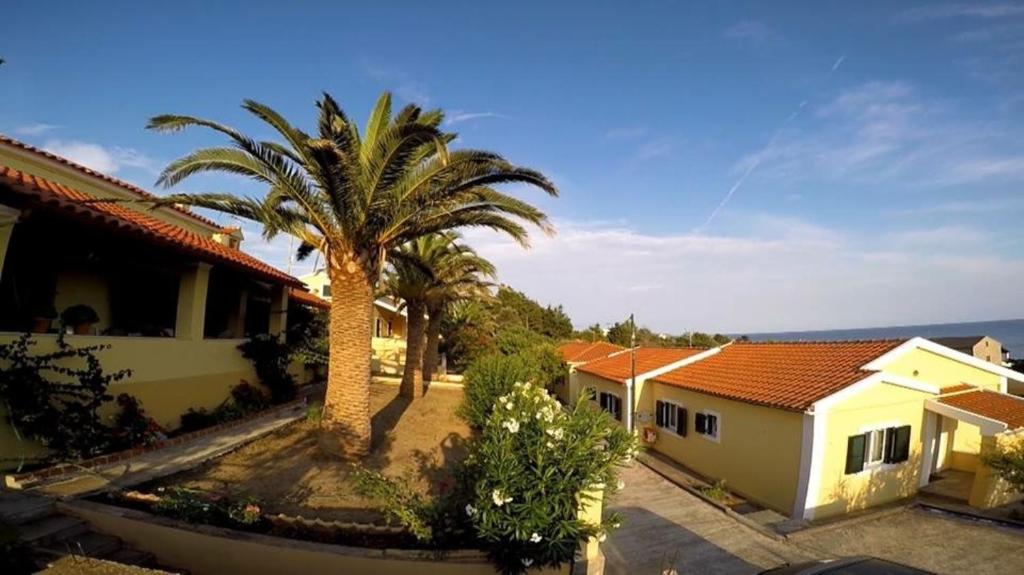a palm tree in front of a house at Palman Othonoi House in Othonoi