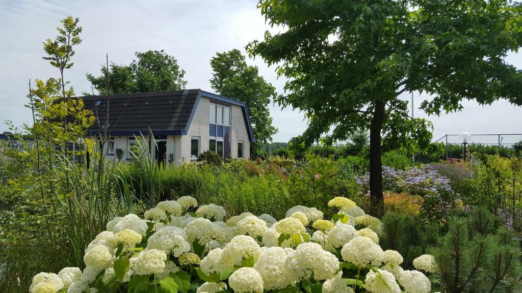 a garden with white flowers in front of a house at B&B Bovenweg in Rhenen