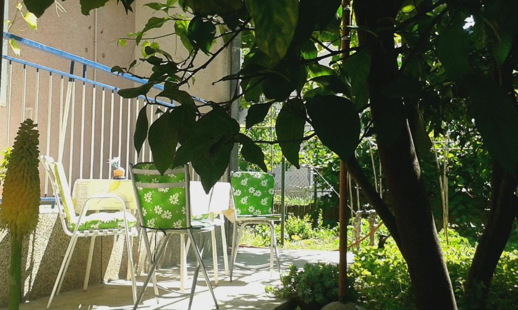 Zahrada ubytování Apartment and rooms Laguna