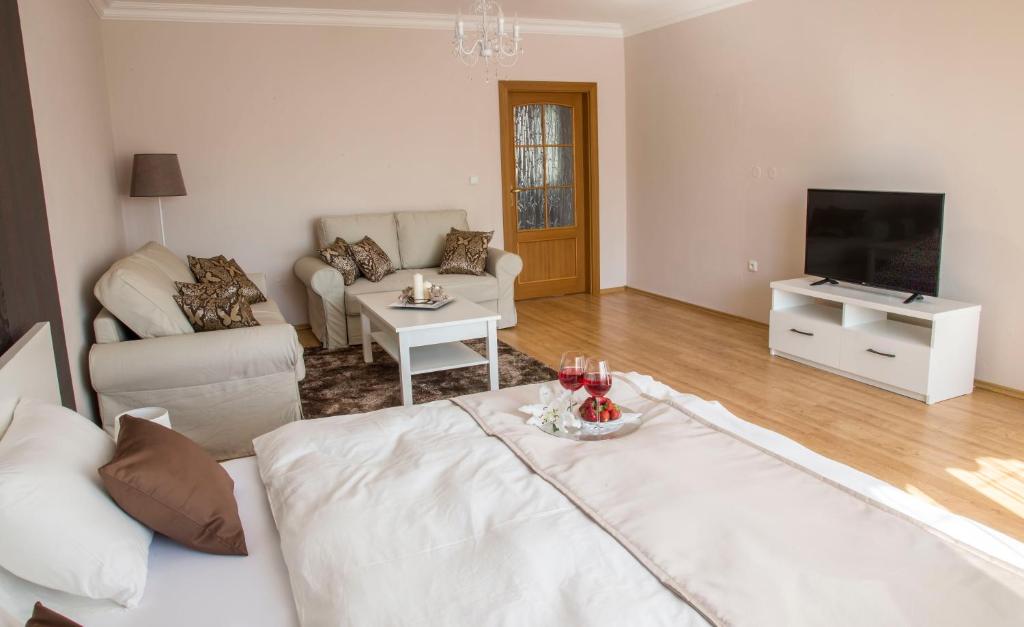 TV a/nebo společenská místnost v ubytování Villa Grande - Apartmány