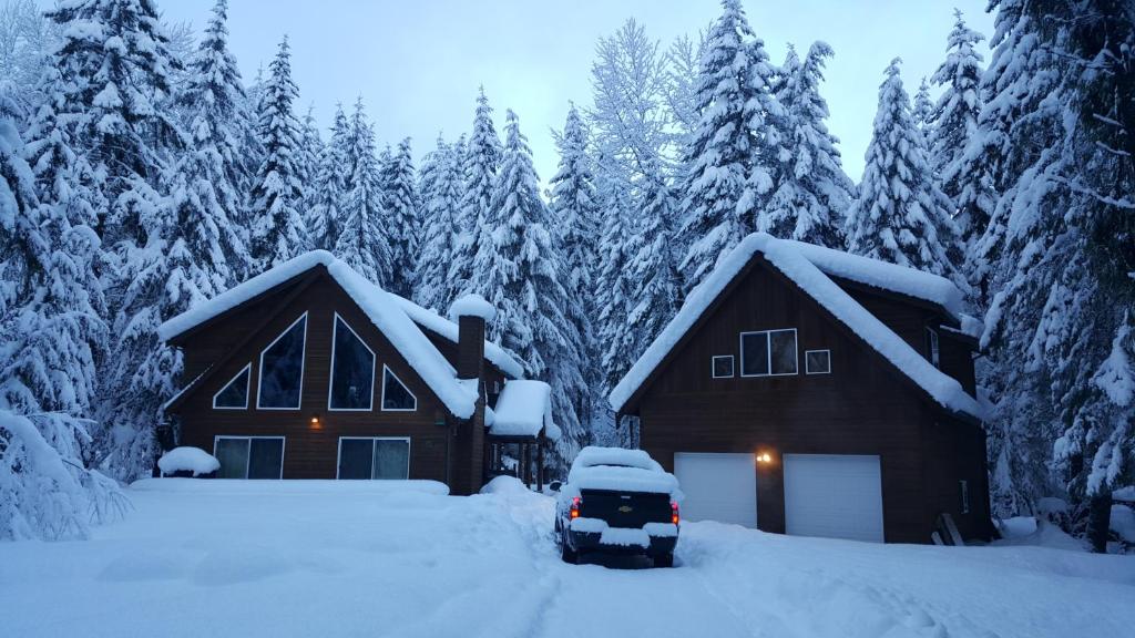 Greenwater的住宿－舒適一室公寓，树旁雪中的房子和汽车