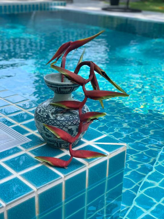 a vase with a plant sitting next to a swimming pool at Green orchid Apartment in Mae Nam