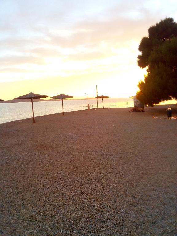 grupa parasoli na plaży z oceanem w obiekcie Studio apartman sirena w mieście Zadar