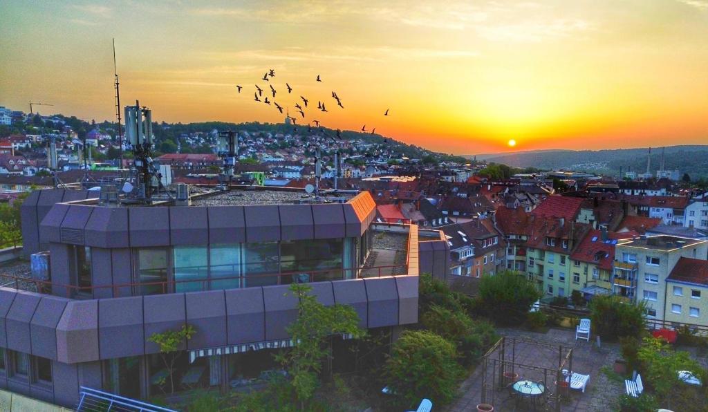 a group of birds flying over a city at sunset at Zentrale Penthouse Suiten mit Goldstadtblick in Pforzheim