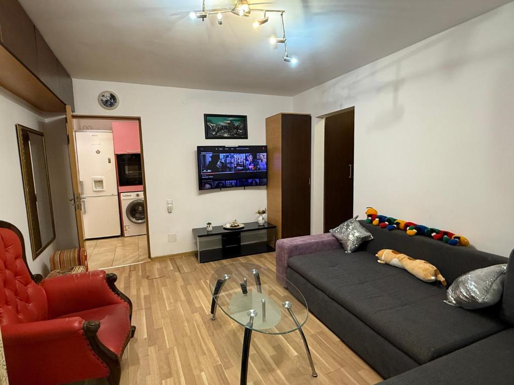 ブカレストにあるCazare Soseaua Oltenitei Bucurestiのソファとテレビのあるリビングルーム