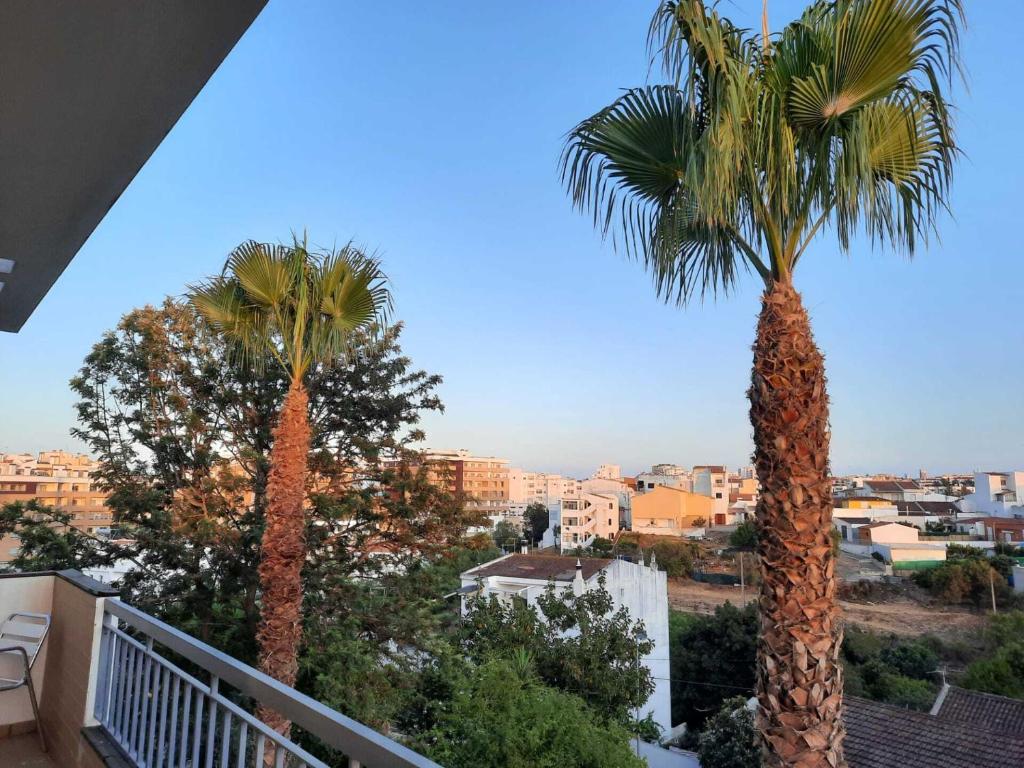 Dream Lagos B&B - 10