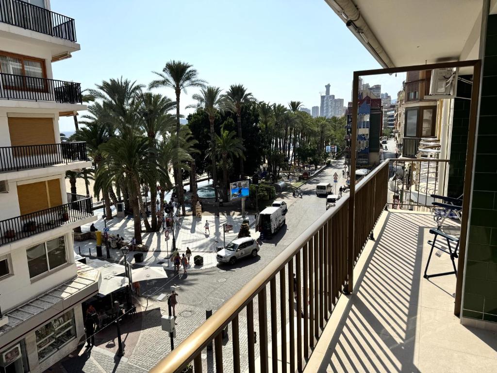 a view of a city street with palm trees and cars at Paseo de la Carretera in Benidorm