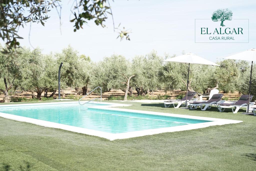 einen Pool in einem Garten mit Stühlen und einem Sonnenschirm in der Unterkunft El Algar Casa Rural in La Carlota