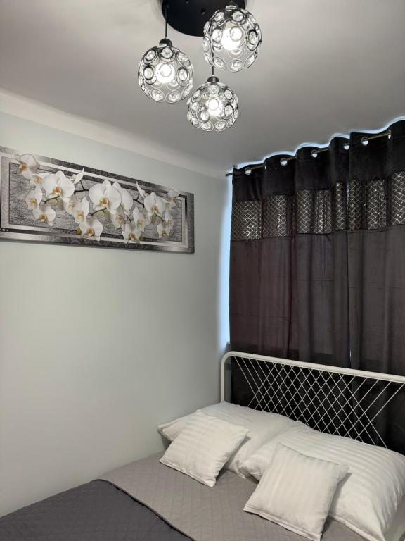 Coser Apartamenty Grzybowska - 