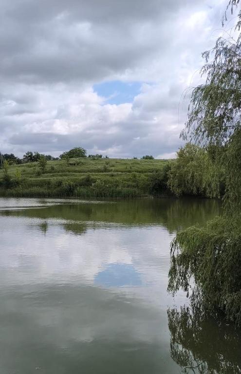 a pond with a blue reflection in the water at Кемпінг Під Горіхом in Malaya Olʼshanka