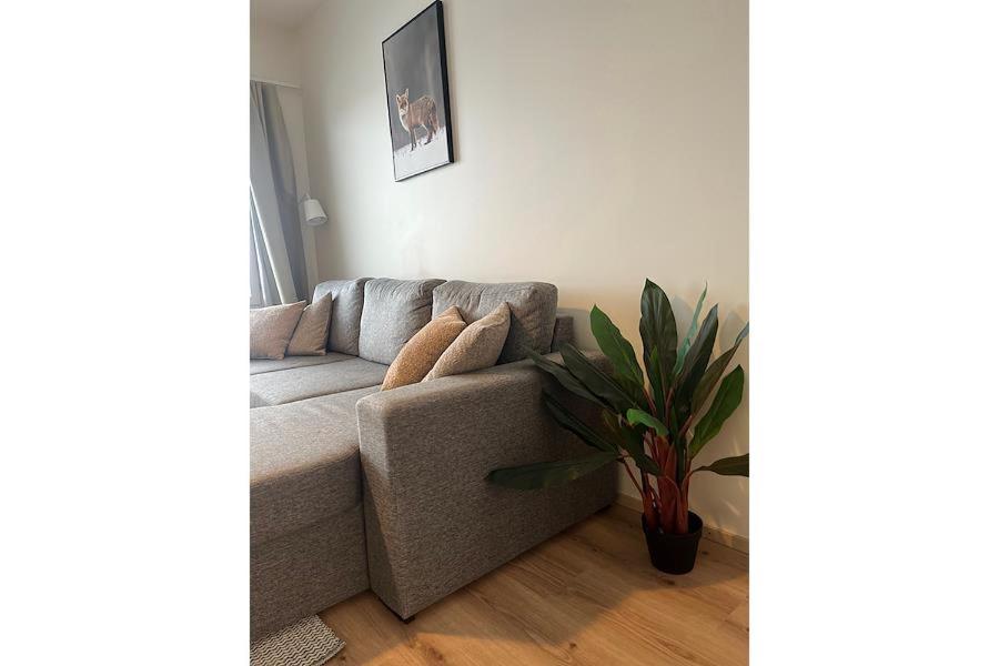 a living room with a couch and a plant at Snowflake XI Family rooms in Rovaniemi