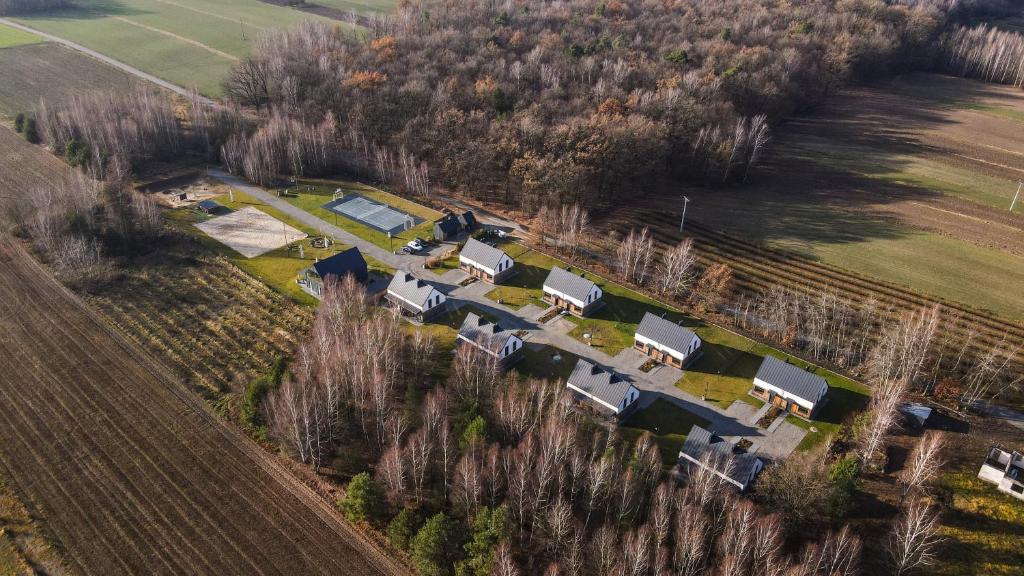 Moje Miejsce Kazimierz - 11