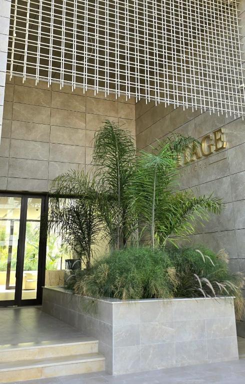 a planter with plants in front of a building at Appartement S1 Luxueux in Tunis