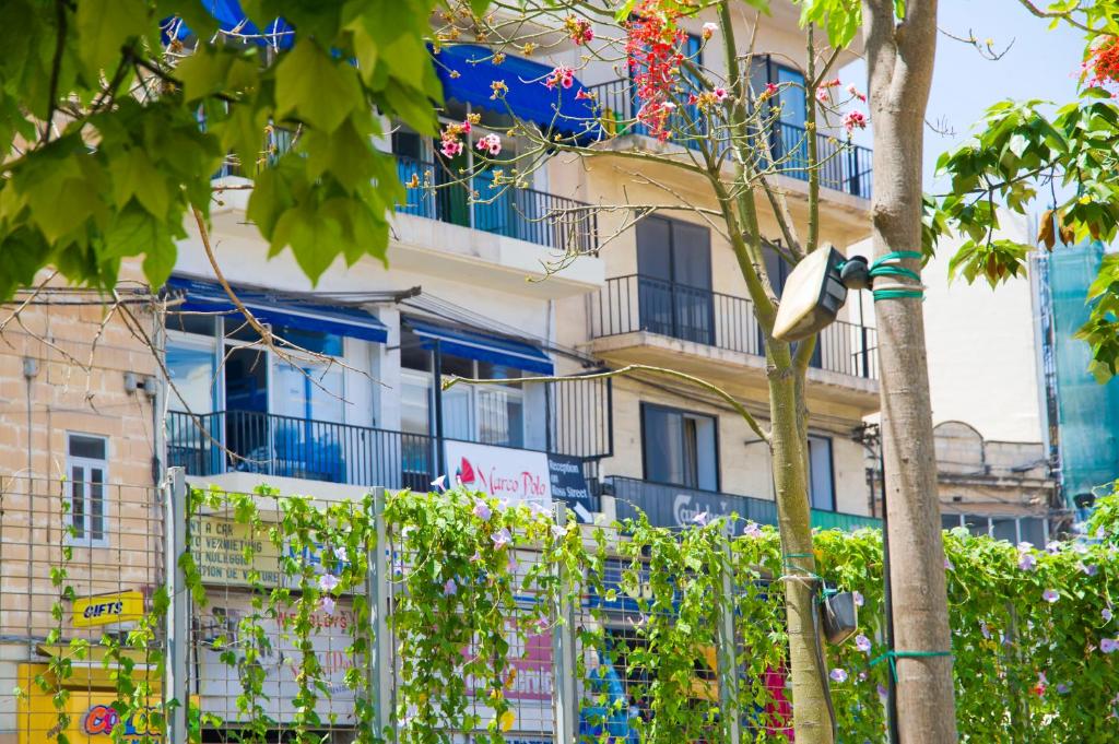 a bird perched on a tree in front of a building at Marco Polo Party Hostel in St. Julianʼs