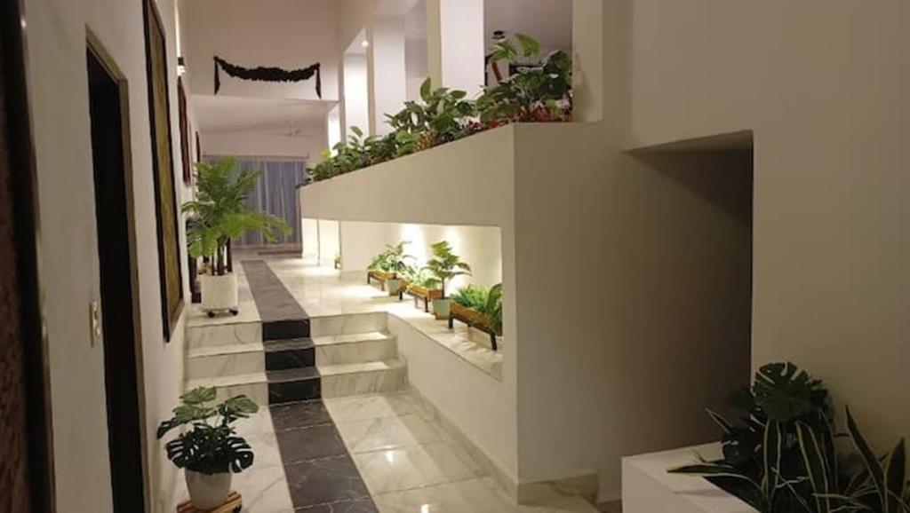 a hallway with potted plants in a building at Casa Marcy, casa nueva con alberca y tres recamaras in Pazulco