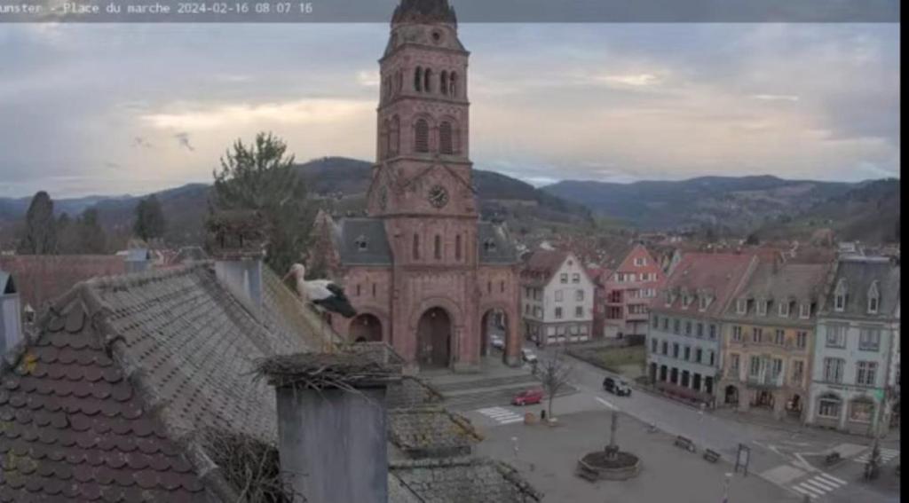 Plaisirs d'Alsace - Munster - Colmar - Route du vin – photo 18
