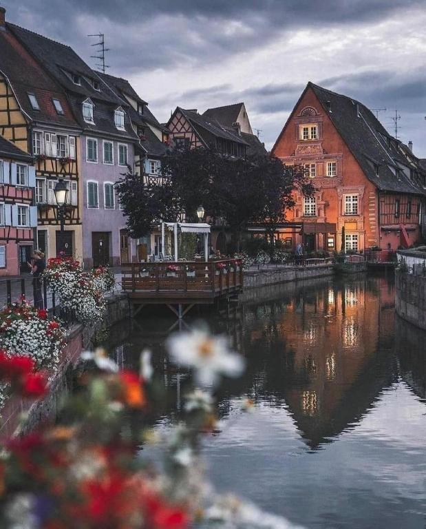 Plaisirs d'Alsace - Munster - Colmar - Route du vin – photo 19