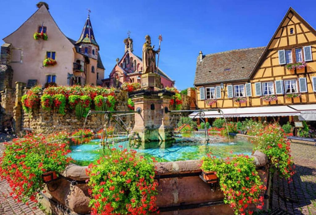 Plaisirs d'Alsace - Munster - Colmar - Route du vin – photo 25