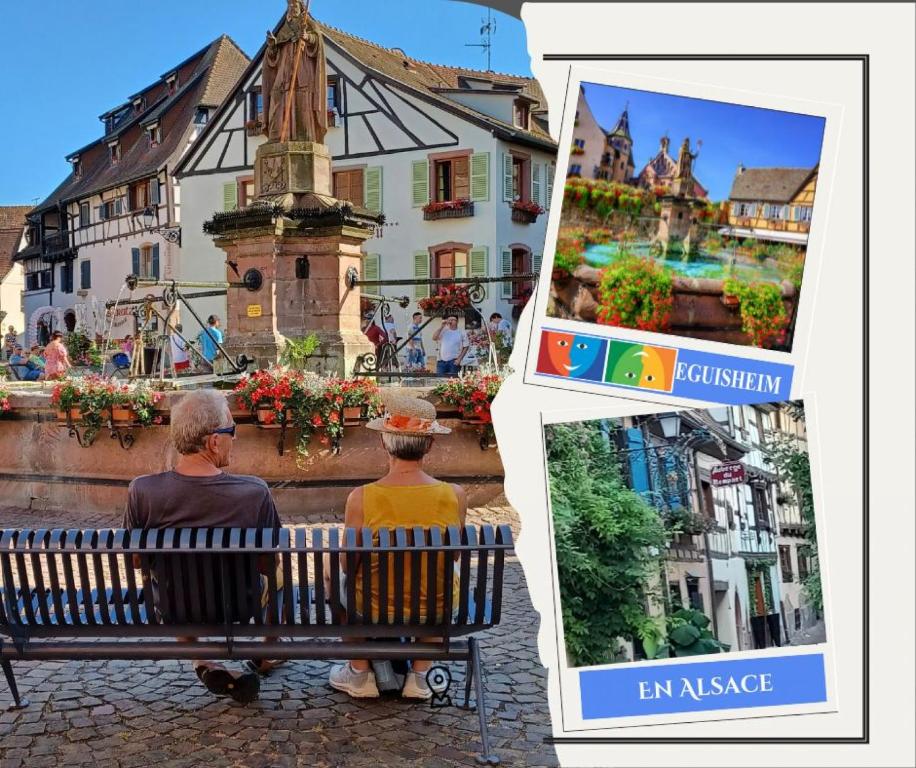 Plaisirs d'Alsace - Munster - Colmar - Route du vin – photo 26