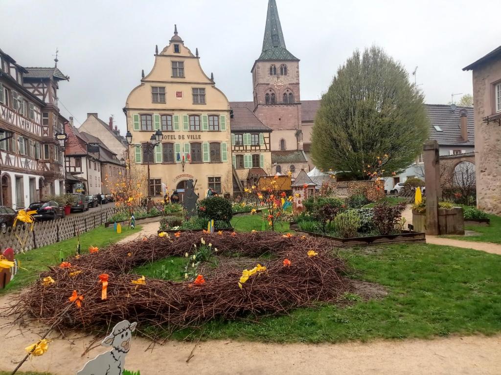 Plaisirs d'Alsace - Munster - Colmar - Route du vin – photo 30