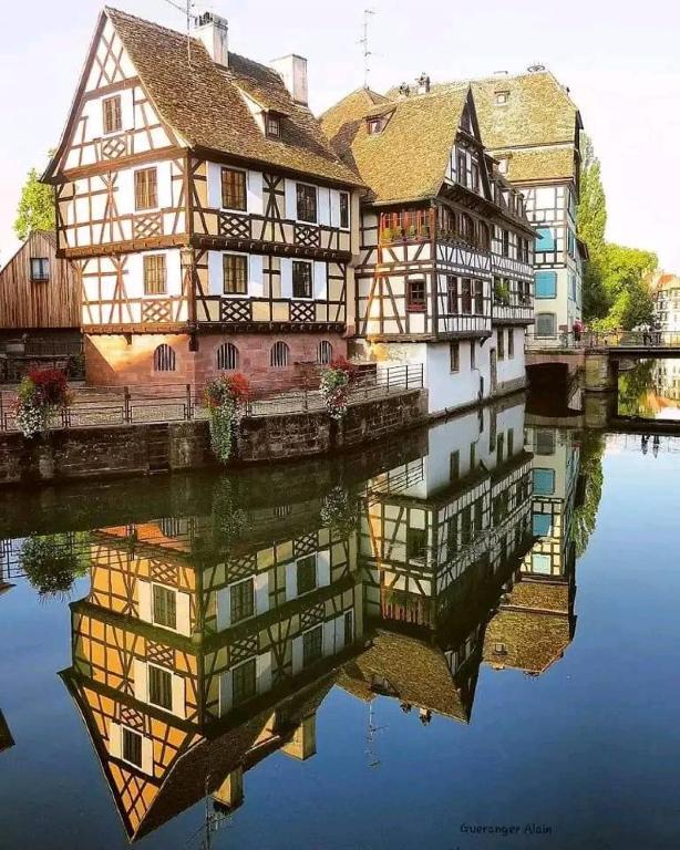 Plaisirs d'Alsace - Munster - Colmar - Route du vin – photo 33