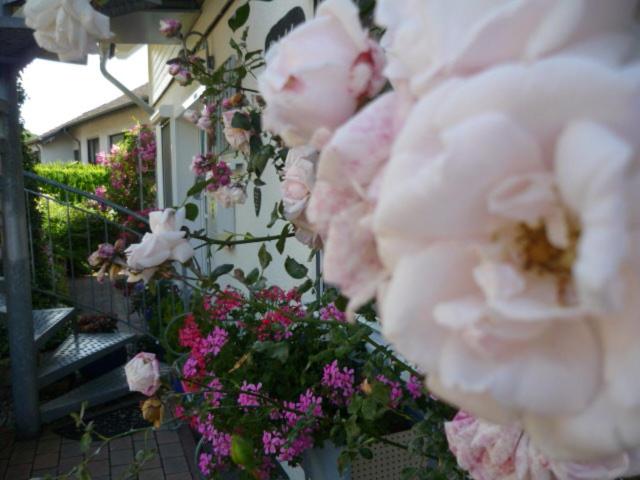 a bunch of pink flowers in front of a building at Gästehaus Rosengarten im Nahetal in Kirn