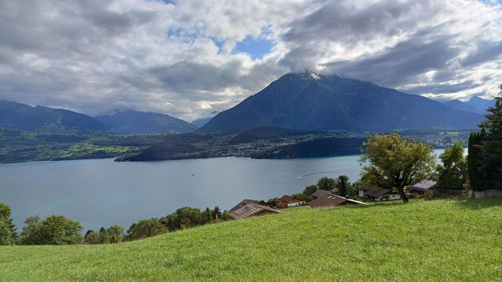 a view of a lake with a mountain in the background at Lakeview Lodge Ferienwohnung Aeschlen ob Gunten am Thunersee in Aeschlen ob Gunten