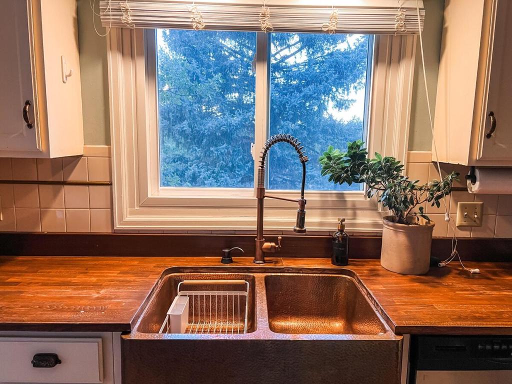 Køkken eller tekøkken på Black Hills Beauty - Perfect for Families