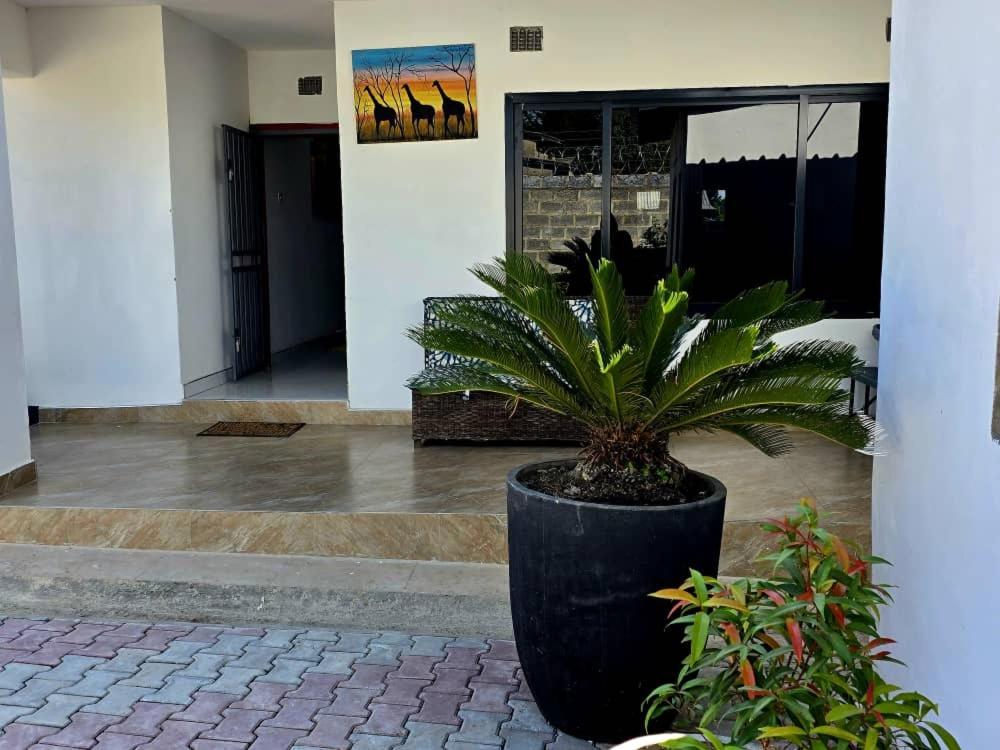 a plant in a large black pot in a building at Zachi Zebra Apartment in Kitwe