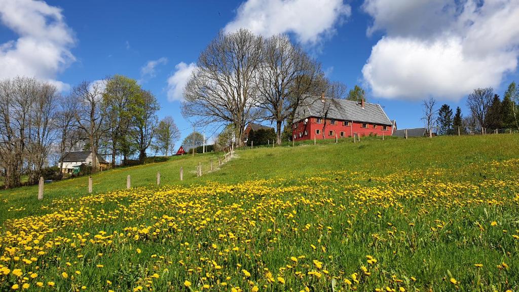 eine rote Scheune auf einem Hügel mit einem Blumenfeld in der Unterkunft Ferienhaus Gut Haselbach im Erzgebirge in Olbernhau