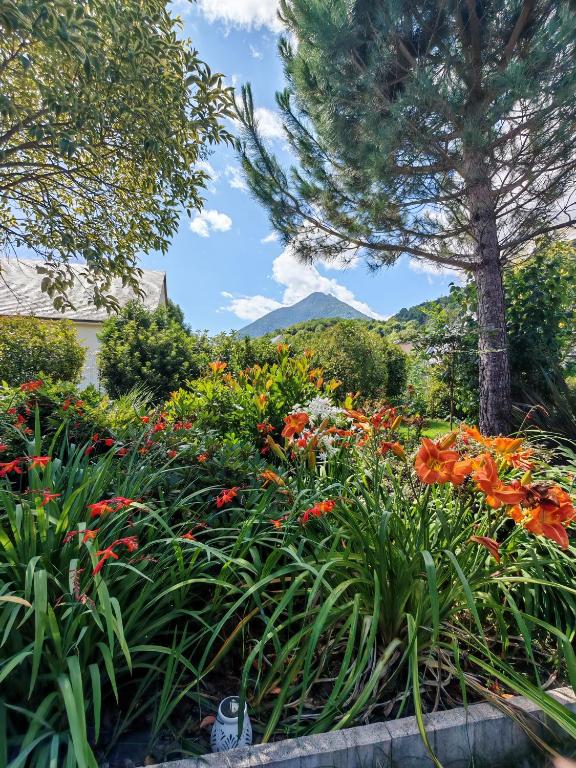a garden of flowers with a mountain in the background at Le balcon des cimes in Adast