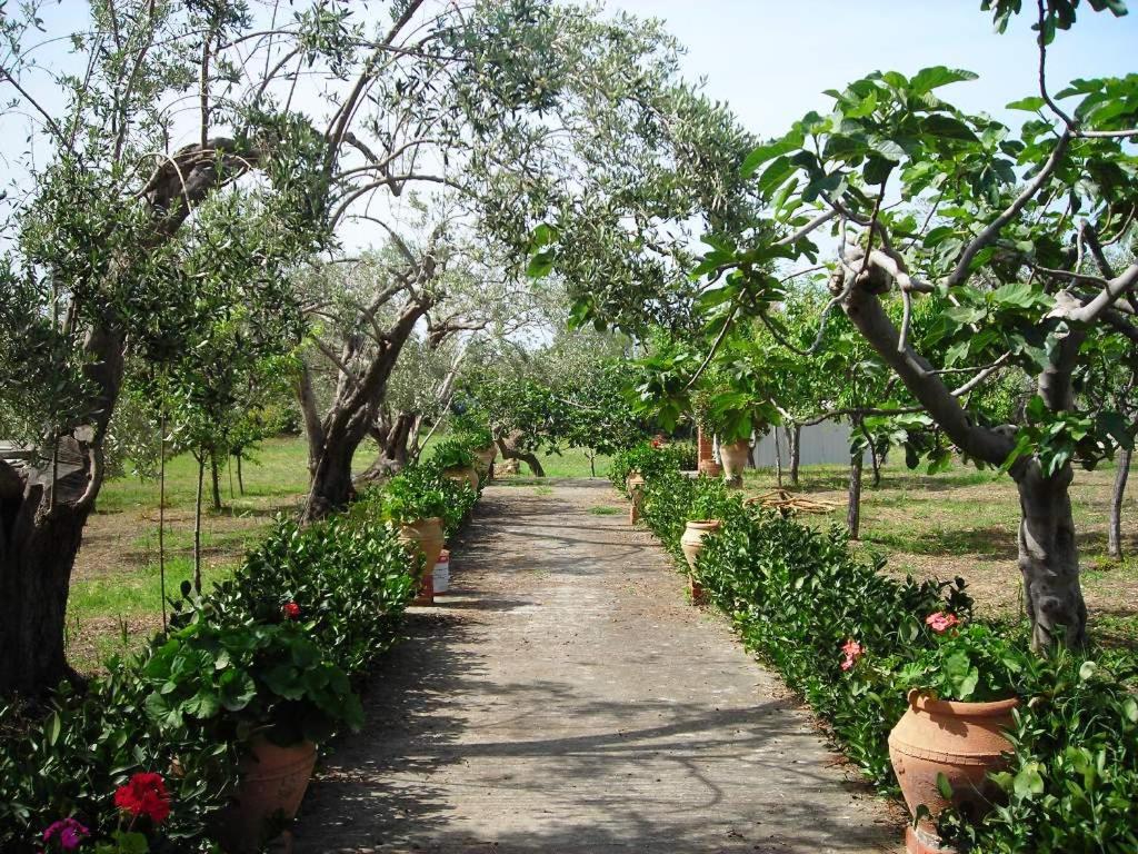 a path through a garden with flowers and trees at Il Giardino sul Mare in Acquedolci