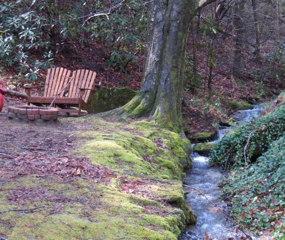 a bench sitting under a tree next to a stream at Cozy Creek - A Romantic Smoky Mountain Escape - Relax in a sheltered hot tub with creek-side & holler views - 3 mi to Gatlinburg, P Forge and National Park - listen to gentle mountain streams at this peaceful retreat in the heart of the Smokies in Pigeon Forge