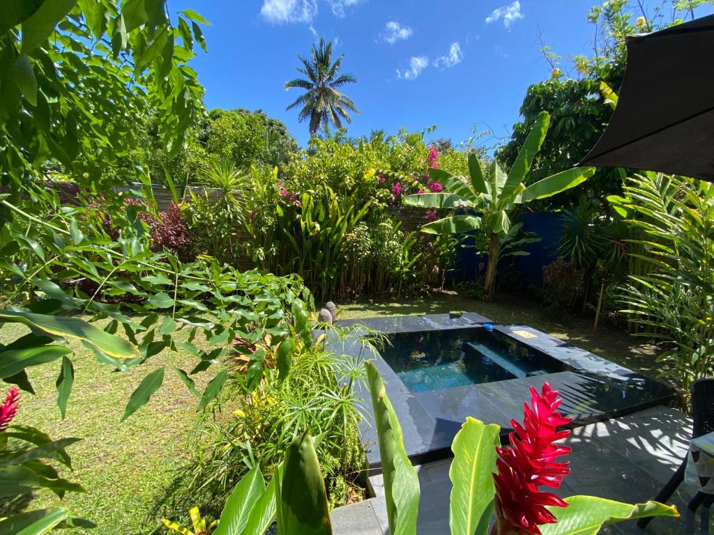 Tiny house with pool near Vaiava beach - photo 10 - Tahiti, Polynésie