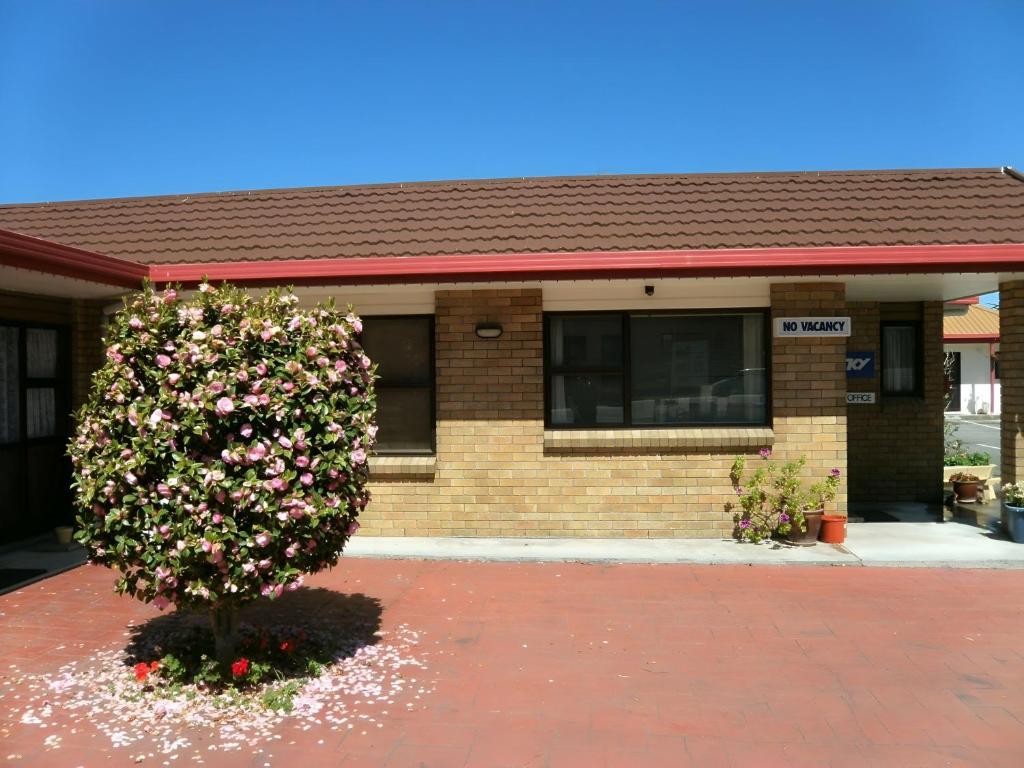 Napier Nest Motel - Resim 6