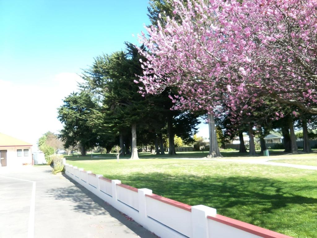 Napier Nest Motel - Resim 22