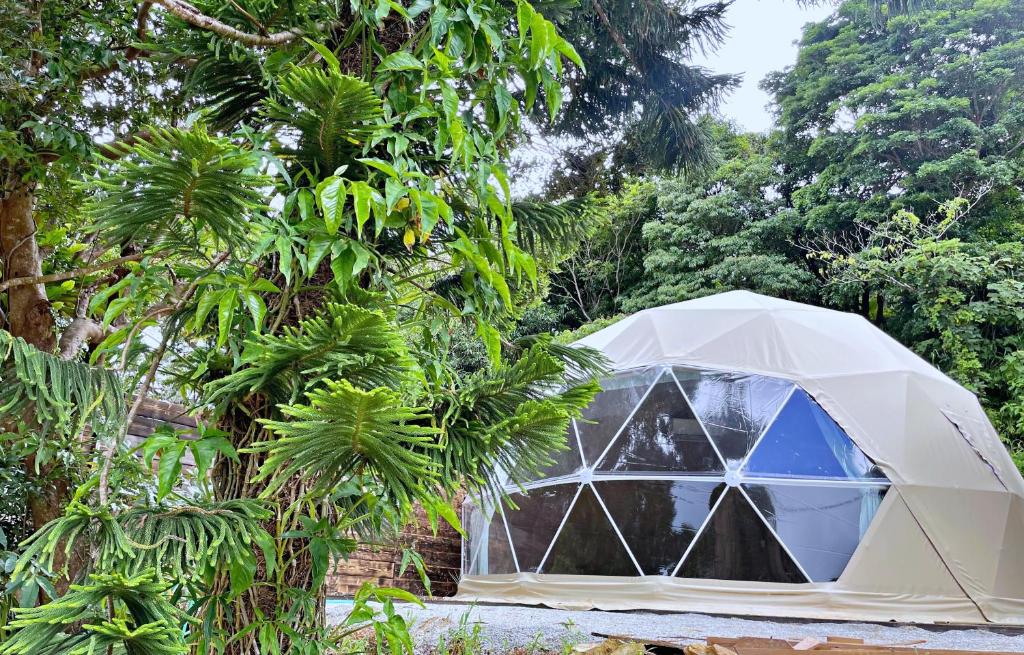 a white greenhouse in a forest with trees at GLAMFOREST Okinawa 名護 in Nago