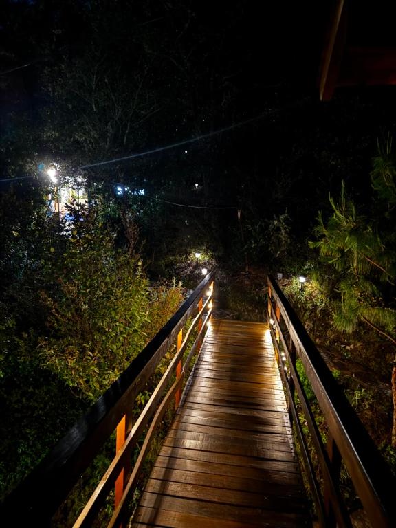 Billede fra billedgalleriet på Glamping Domos del Lago i Aquitania