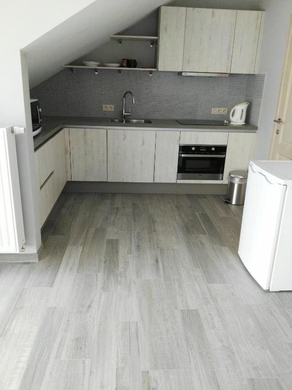 Kuchyň nebo kuchyňský kout v ubytování Guesthouse SiSa