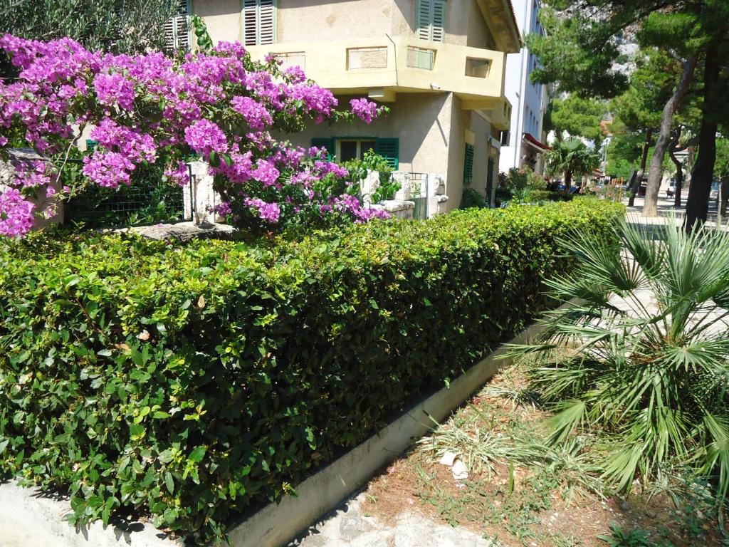 Vonkajšia záhrada v ubytovaní Omiš apartment on the beach