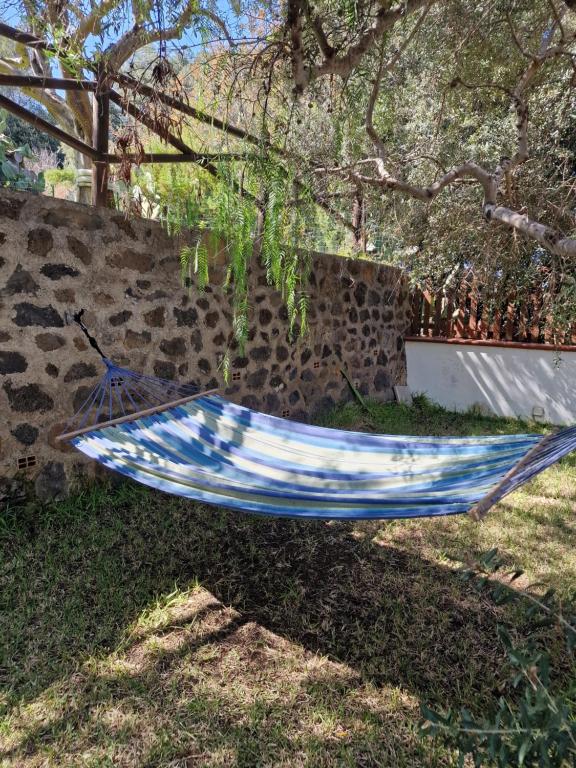 a hammock sitting in the grass under a tree at Villa Iovane Pearl in Ustica
