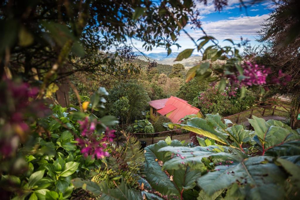 Zahrada ubytování Paraíso Quetzal Lodge