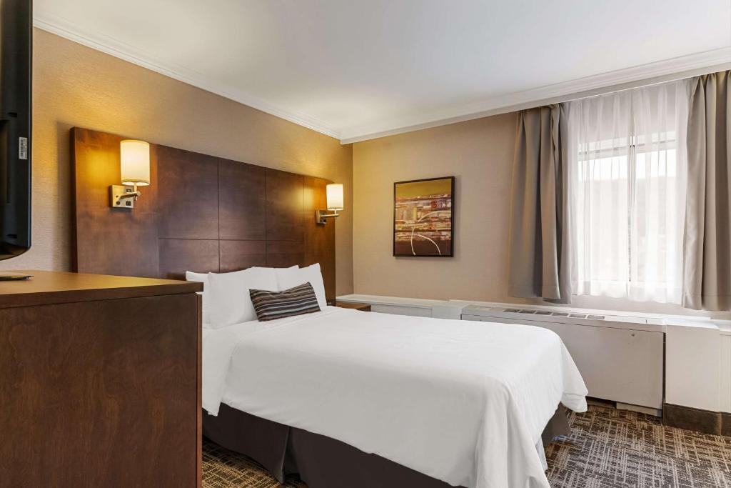 Best Western Ville-Marie Montreal Hotel & Suites - Resim 22