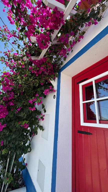 a red door and flowers on a white building at Casa Vó Briata in Mértola