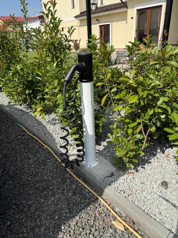 Hotel Ramina - Resim 5