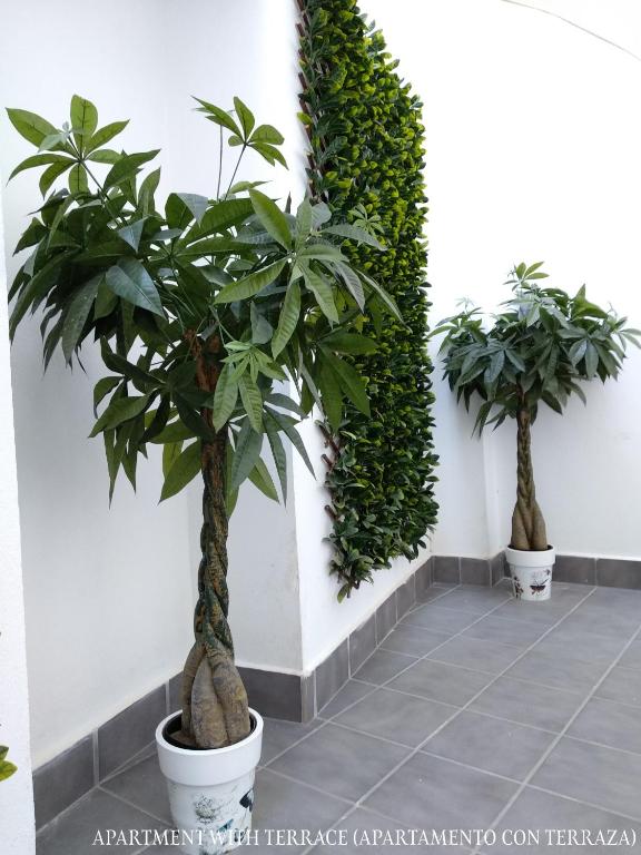 Caleta Homes - Apartamentos Pompidou - 11