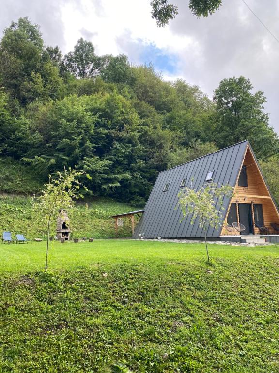 a house with a metal roof on a green field at Cabana A Morarului in Teiuş