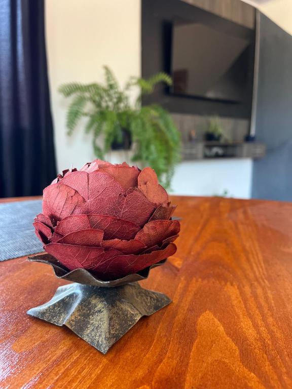 a red flower sitting on top of a wooden table at Acomodação Bela Vista in Mariana