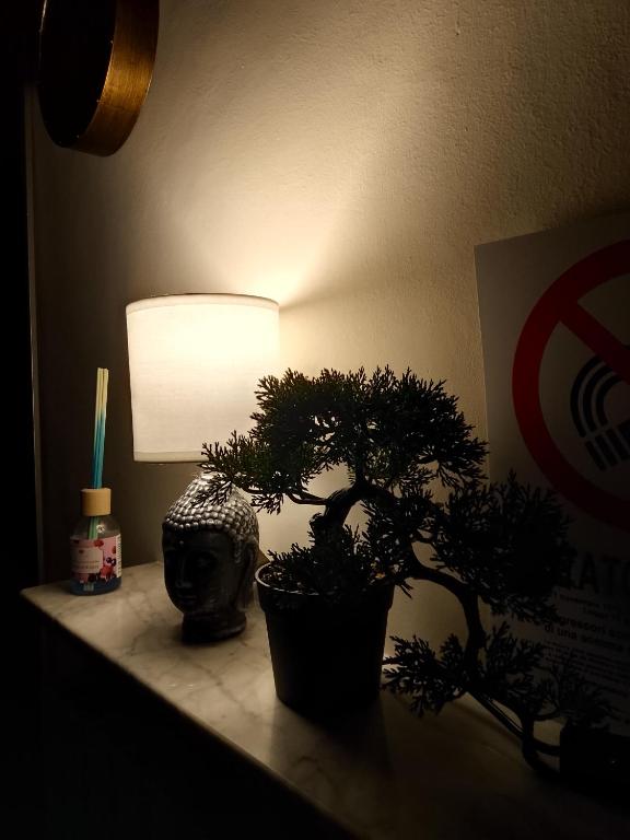 a table with a lamp and a potted plant on it at ARCO in Bisceglie