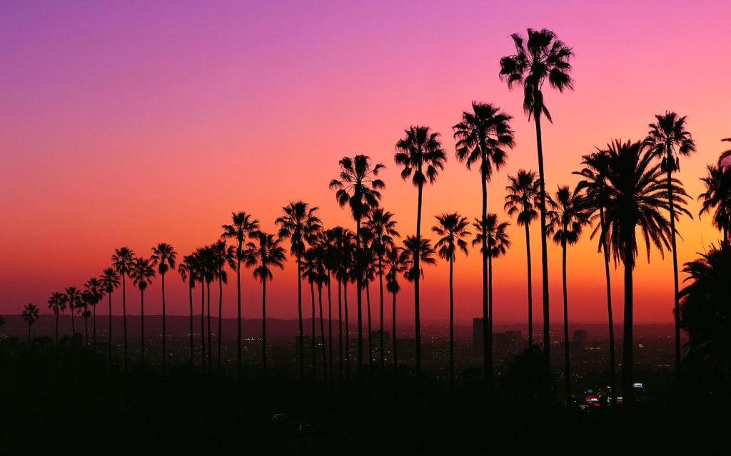 una fila di palme di fronte al tramonto di The Palomino - AMAZING Chic-Luxe, Private, Guest House - Pool, Sauna, Free Parking a Los Angeles
